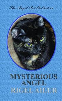 Mysterious Angel - Angel Cat Collection, #2