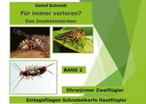 Für immer verloren? - Das Insektensterben