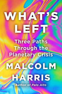 What's Left - Three Paths Through the Planetary Crisis