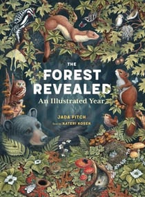 The Forest Revealed - An Illustrated Year