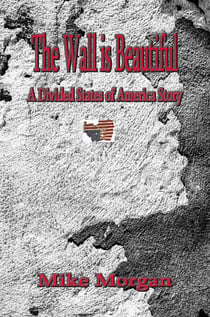 The Wall is Beautiful - The Divided States of America, #2