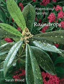 Watercolour Secrets: Raindrops - Watercolour Secrets, #1