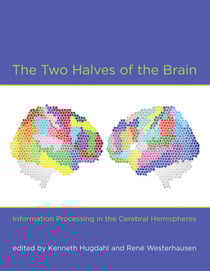 The Two Halves of the Brain - Information Processing in the Cerebral Hemispheres