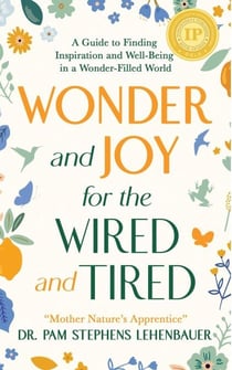 Wonder and Joy for the Wired and Tired