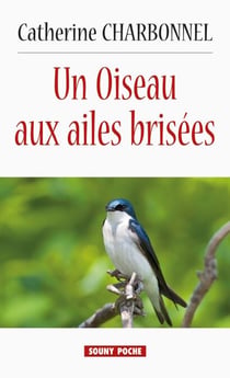 Un Oiseau aux ailes brisées - Roman