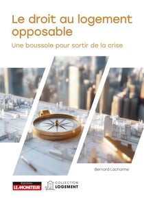 Le Droit Au logement Opposable - Genèse, mise en oeuvre, limites et perspectives pour sortir de la crise