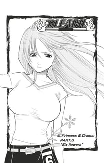 Bleach - T05 - Chapitre 43 - Princess & Dragon PART. 3 "Six flowers"