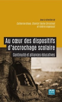 Au coeur des dispositifs d'accrochage scolaire - Continuité et alliances éducatives