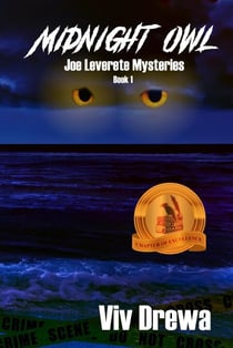 Midnight Owl - Joe Leverette Mysteries, #1