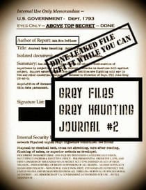 The Grey Files: Grey Haunting - The Grey Files:, #2