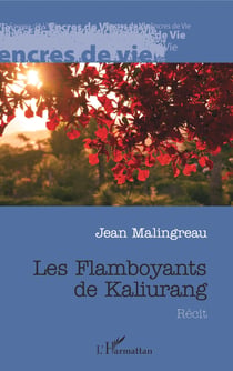 Les Flamboyants de Kaliurang - Récit