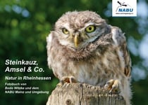 Steinkauz, Amsel & Co. - Natur in Rheinhessen
