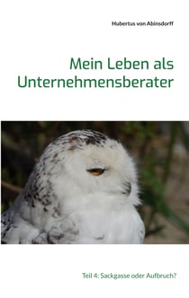 Mein Leben als Unternehmensberater - Teil 4: Sackgasse oder Aufbruch?