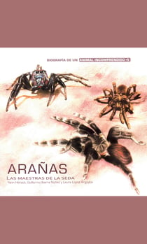 Arañas - Las maestras de la seda