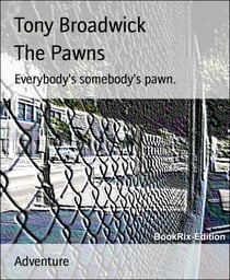 The Pawns - Everybody's somebody's pawn.