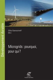 Microgrids: pourquoi, pour qui?