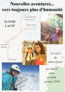 Nouvelles aventures vers toujours plus d'humanité - Le récit de mon séjour au Népal puis en Inde en mai 2016