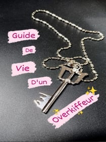 Guide de Vie d'un Overkiffeur