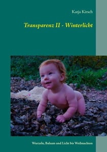 Transparenz II - Winterlicht - Wurzeln, Balsam und Licht bis Weihnachten