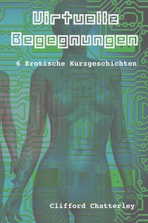 Virtuelle Begegnungen - 6 erotische Kurzgeschichten