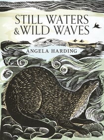 Still Waters & Wild Waves - from beloved illustrator and printmaker Angela Harding