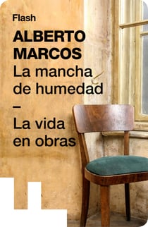 La mancha de humedad | La vida en obras (Flash Relatos)