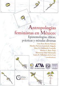 Antropologías feministas en México - Epistemologías, éticas, prácticas y miradas diversas