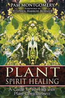 Plant Spirit Healing - A Guide to Working with Plant Consciousness