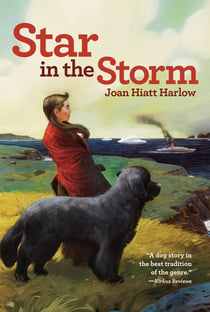 Star in the Storm