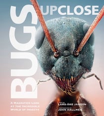 Bugs Up Close - A Magnified Look at the Incredible World of Insects