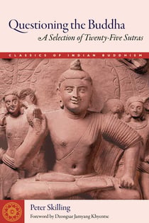 Questioning the Buddha - A Selection of Twenty-Five Sutras