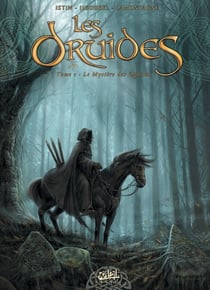 Les druides Tome 1 : le mystère des Oghams