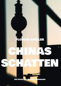Chinas Schatten - Die Pfade des Michael Bergmann