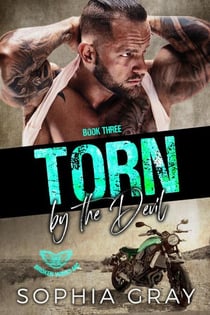 Torn by the Devil (Book 3) - Broken Wings MC, #3