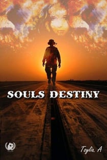 Souls Destiny - Opposés et Attirés : Une Romance Intense entre Ambition et Militaire
