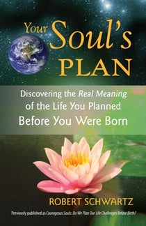 Your Soul's Plan - Discovering the Real Meaning of the Life You Planned Before You Were Born