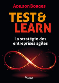 Test &amp; Learn : La stratégie des entreprises agiles - La stratégie des entreprises agiles