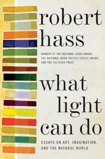 What Light Can Do - Essays on Art, Imagination, and the Natural World