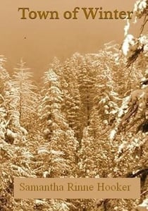 Town of Winter