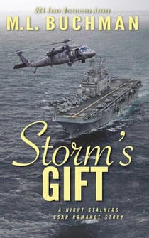 Storm’s Gift: a military romantic suspense story - The Night Stalkers CSAR, #9
