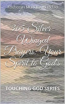 365 Silver-Winged Prayers: Your Spirit to God's - Touching God, #3