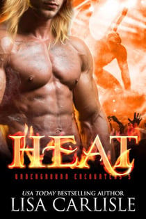 HEAT: a gargoyle shifter romance - Underground Encounters, #5