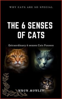the 6 senses of Cats