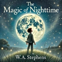 The Magic of Nighttime