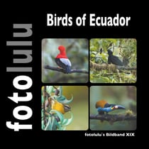 Birds of Ecuador - fotolulu`s Bildband XIX