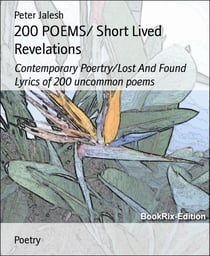 200 POEMS/ Short Lived Revelations - Contemporary Poertry/Lost And Found Lyrics of 200 uncommon poems