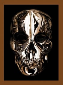 ALEXANDER MCQUEEN - SAVAGE BEAUTY