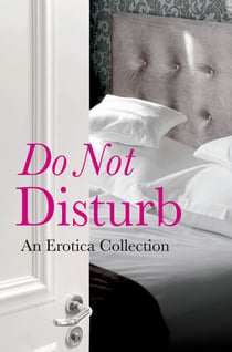 Do Not Disturb - An Erotica Collection