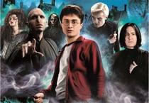 Puzzle 1000 pièces - Harry Potter