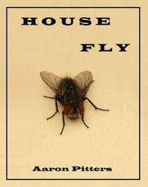 House Fly